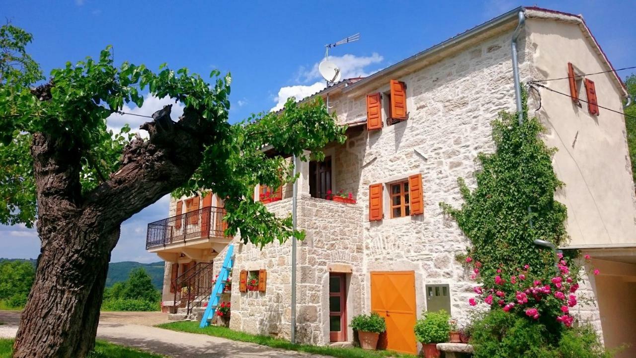 Villa Angela E Giovanni Vižinada المظهر الخارجي الصورة